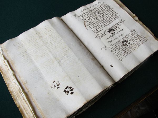 1262 Как кот увековечил себя, запачкав рукопись 