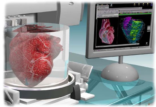 210120131645 Ученые хотят напечатать живое сердце человека на 3D-принтере