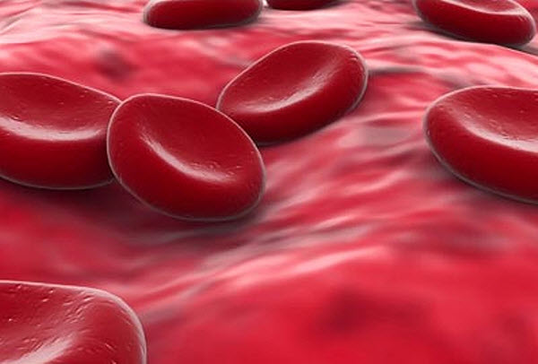 d18dd180d0b8d182d180d0bed186d0b8d182d18b Канадские ученые «обезличили» клетки крови