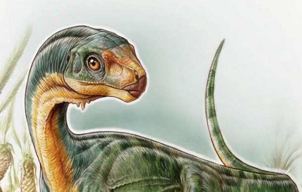 news-science В Чили археологи обнаружили кости ранее неизвестного динозавра